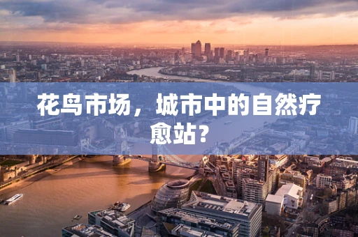 花鸟市场，城市中的自然疗愈站？
