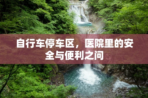 自行车停车区，医院里的安全与便利之问