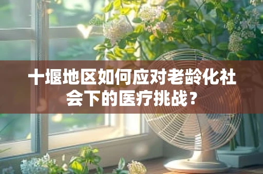 十堰地区如何应对老龄化社会下的医疗挑战？