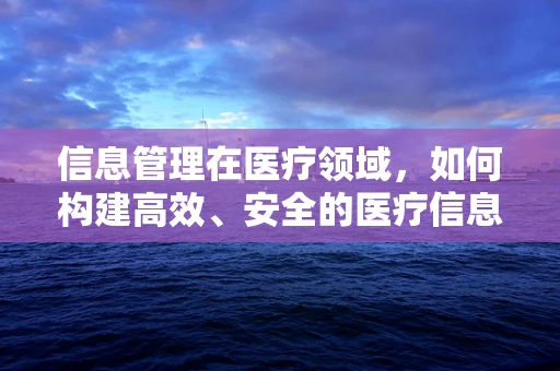 信息管理在医疗领域，如何构建高效、安全的医疗信息体系？
