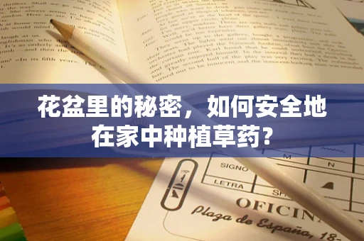 花盆里的秘密，如何安全地在家中种植草药？