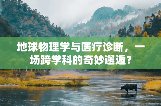 地球物理学与医疗诊断，一场跨学科的奇妙邂逅？