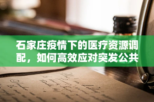 石家庄疫情下的医疗资源调配，如何高效应对突发公共卫生事件的挑战？