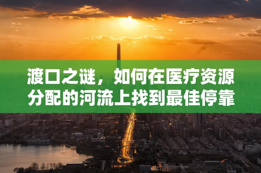 渡口之谜，如何在医疗资源分配的河流上找到最佳停靠点？