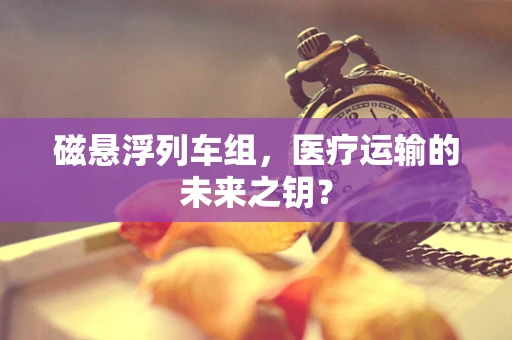 磁悬浮列车组，医疗运输的未来之钥？