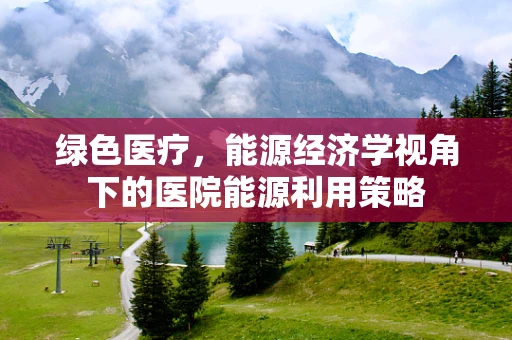 绿色医疗，能源经济学视角下的医院能源利用策略