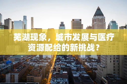 芜湖现象，城市发展与医疗资源配给的新挑战？
