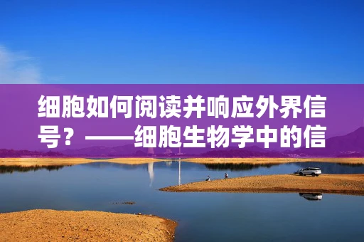 细胞如何阅读并响应外界信号？——细胞生物学中的信号转导机制