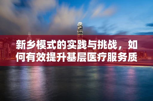新乡模式的实践与挑战，如何有效提升基层医疗服务质量？