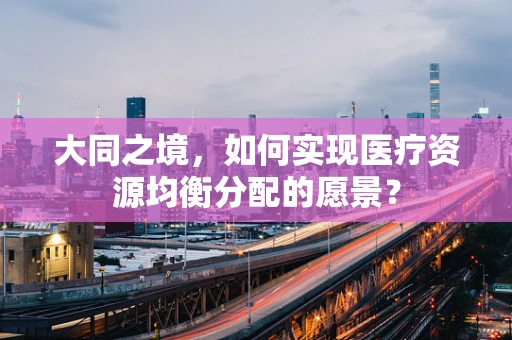 大同之境，如何实现医疗资源均衡分配的愿景？