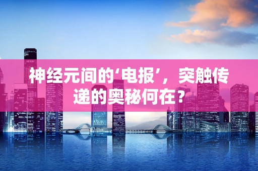 神经元间的‘电报’，突触传递的奥秘何在？