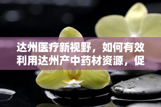 达州医疗新视野，如何有效利用达州产中药材资源，促进地方医疗健康产业发展？