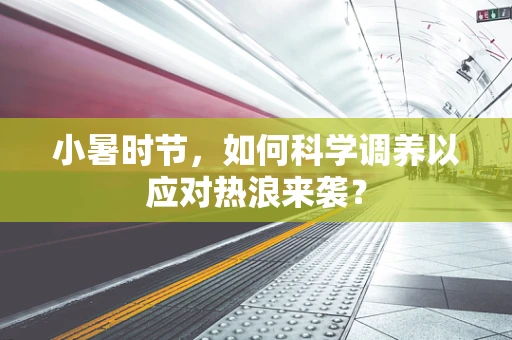 小暑时节，如何科学调养以应对热浪来袭？