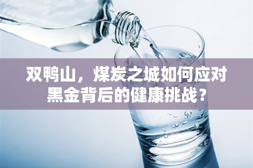 双鸭山，煤炭之城如何应对黑金背后的健康挑战？