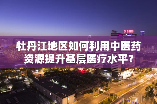 牡丹江地区如何利用中医药资源提升基层医疗水平？