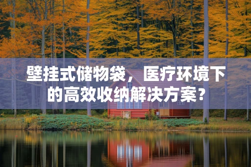壁挂式储物袋，医疗环境下的高效收纳解决方案？