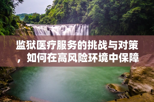 监狱医疗服务的挑战与对策，如何在高风险环境中保障健康？