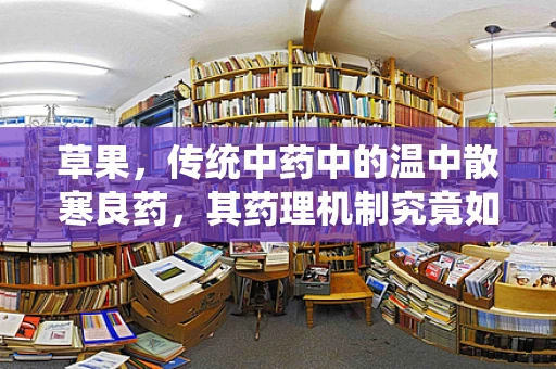 草果，传统中药中的温中散寒良药，其药理机制究竟如何？