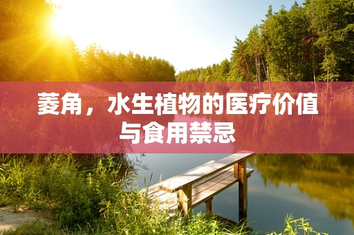 菱角，水生植物的医疗价值与食用禁忌