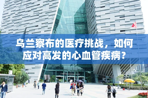 乌兰察布的医疗挑战，如何应对高发的心血管疾病？