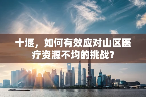十堰，如何有效应对山区医疗资源不均的挑战？