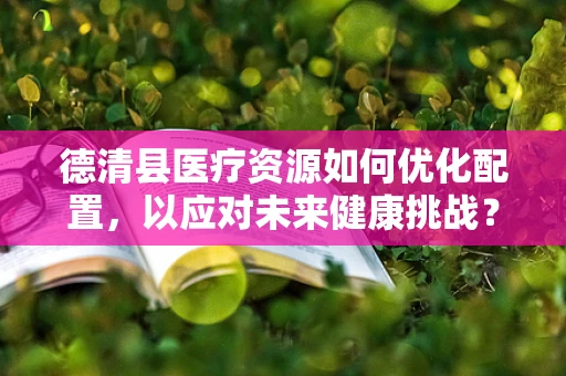德清县医疗资源如何优化配置，以应对未来健康挑战？