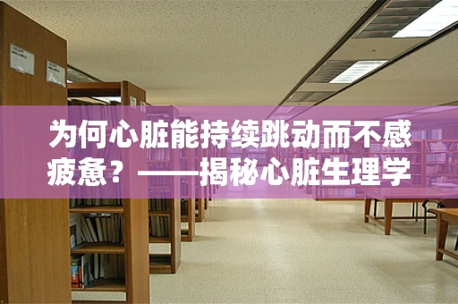 为何心脏能持续跳动而不感疲惫？——揭秘心脏生理学的奥秘