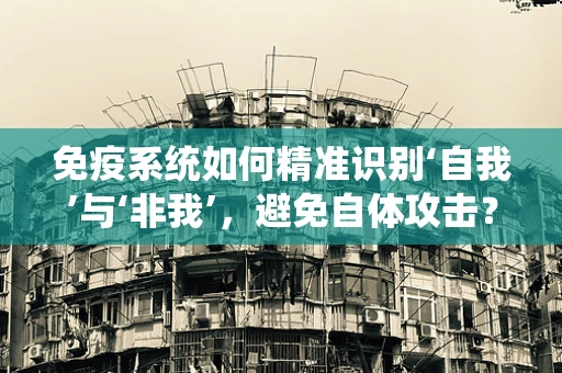 免疫系统如何精准识别‘自我’与‘非我’，避免自体攻击？