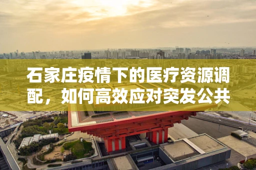 石家庄疫情下的医疗资源调配，如何高效应对突发公共卫生事件？