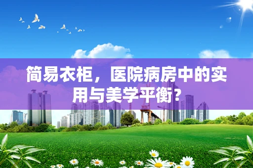 简易衣柜，医院病房中的实用与美学平衡？