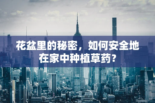 花盆里的秘密，如何安全地在家中种植草药？