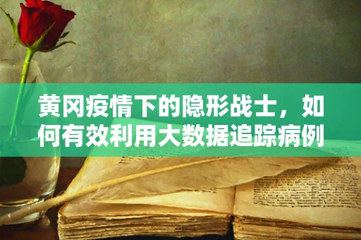 黄冈疫情下的隐形战士，如何有效利用大数据追踪病例轨迹？