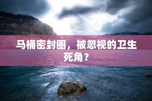 马桶密封圈，被忽视的卫生死角？