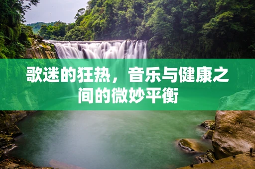 歌迷的狂热，音乐与健康之间的微妙平衡