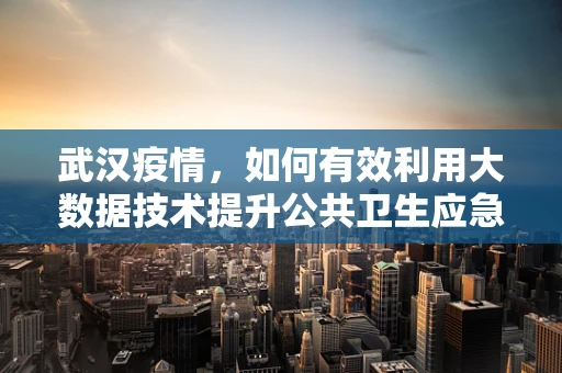 武汉疫情，如何有效利用大数据技术提升公共卫生应急响应？