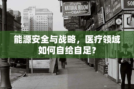 能源安全与战略，医疗领域如何自给自足？