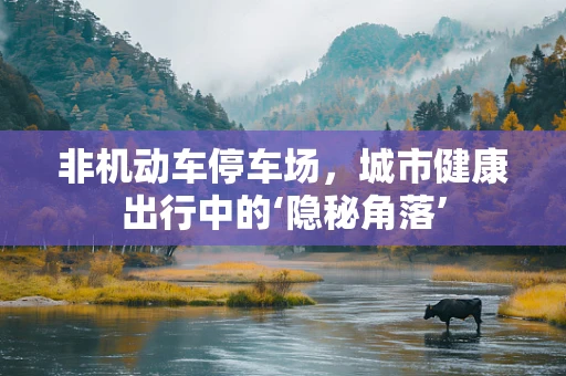非机动车停车场，城市健康出行中的‘隐秘角落’