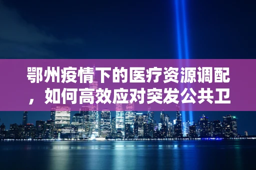 鄂州疫情下的医疗资源调配，如何高效应对突发公共卫生事件？