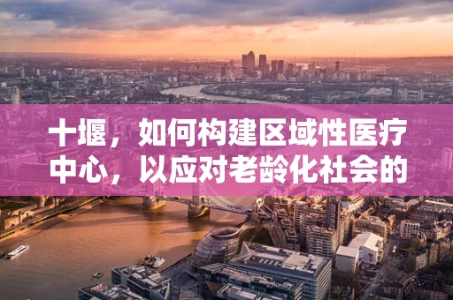 十堰，如何构建区域性医疗中心，以应对老龄化社会的挑战？