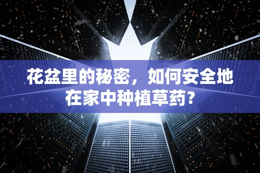 花盆里的秘密，如何安全地在家中种植草药？