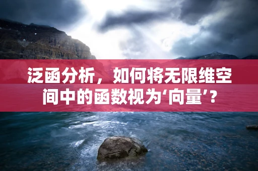 泛函分析，如何将无限维空间中的函数视为‘向量’？
