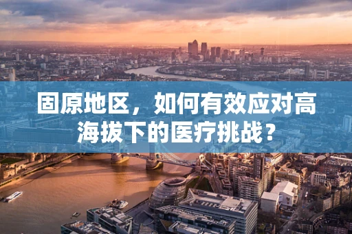固原地区，如何有效应对高海拔下的医疗挑战？