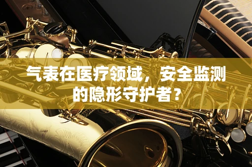 气表在医疗领域，安全监测的隐形守护者？