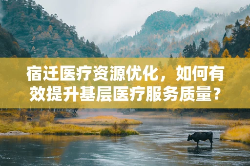 宿迁医疗资源优化，如何有效提升基层医疗服务质量？