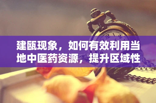 建瓯现象，如何有效利用当地中医药资源，提升区域性健康管理水平？