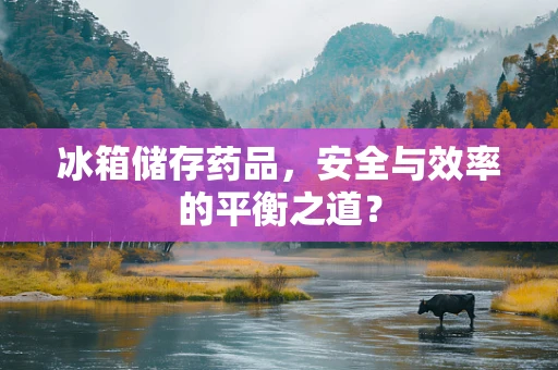 冰箱储存药品，安全与效率的平衡之道？