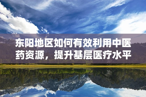 东阳地区如何有效利用中医药资源，提升基层医疗水平？