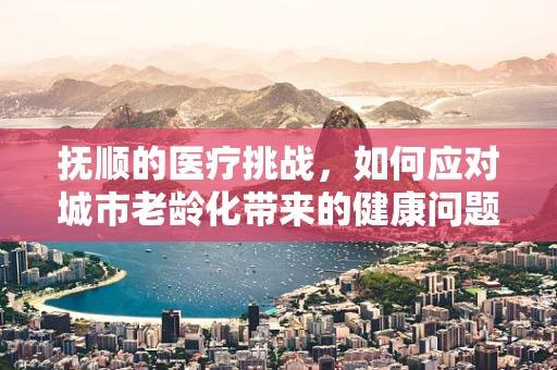 抚顺的医疗挑战，如何应对城市老龄化带来的健康问题？
