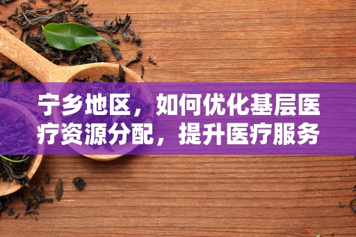 宁乡地区，如何优化基层医疗资源分配，提升医疗服务质量？