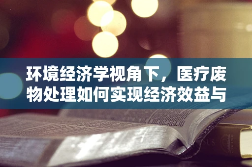 环境经济学视角下，医疗废物处理如何实现经济效益与环境保护的双赢？